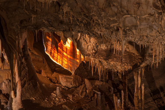 Cave Bacon