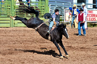 Rodeo