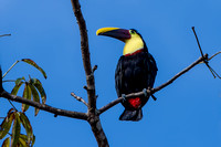 Costa Rica